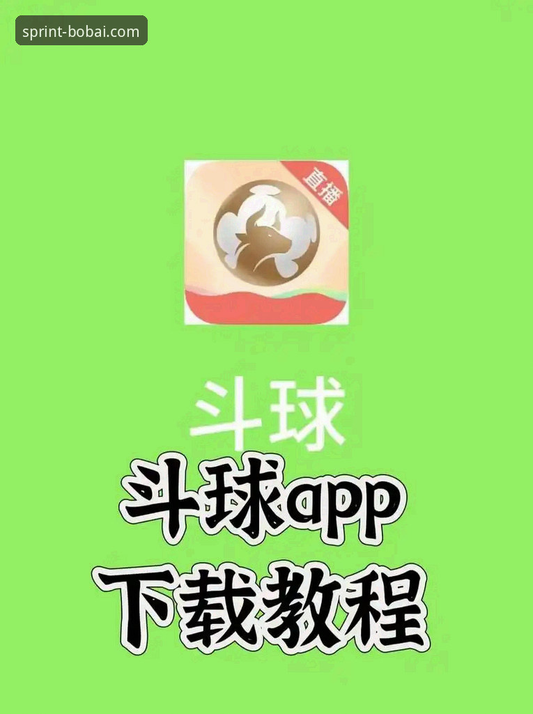百博体育在线观看使用教程：从下载到畅享赛事直播全攻略